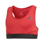 Alphaskin Sport Bra