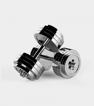 Home Pro 2 2 300x338