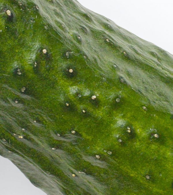 shop29-product-16-4 Product Image